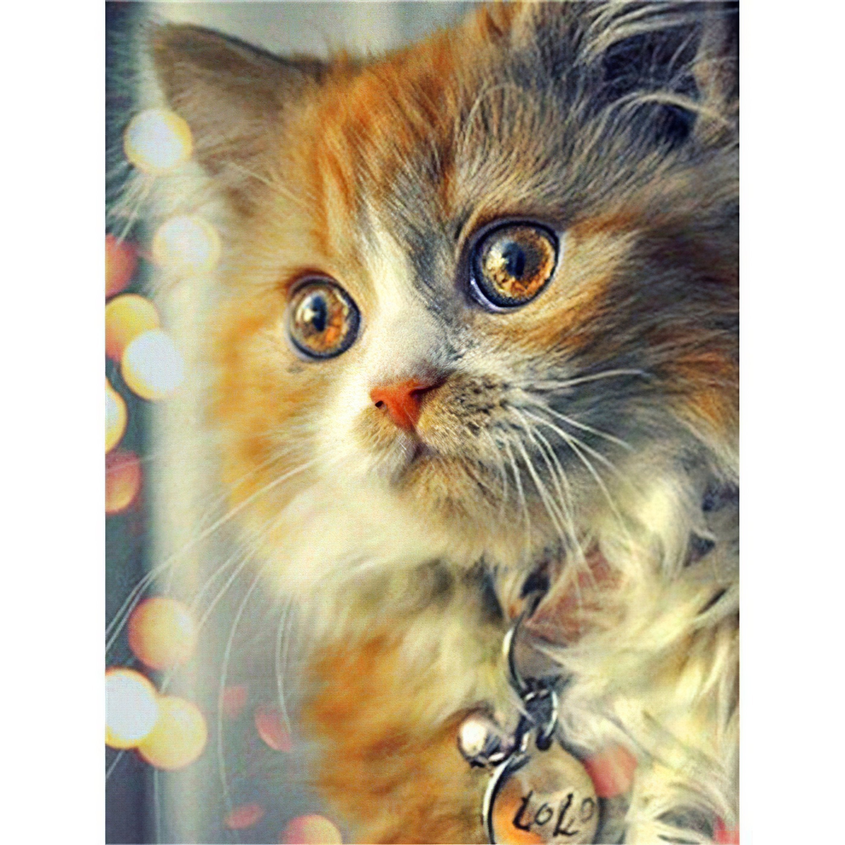 Diamond Painting - Katze mit glänzenden Augen