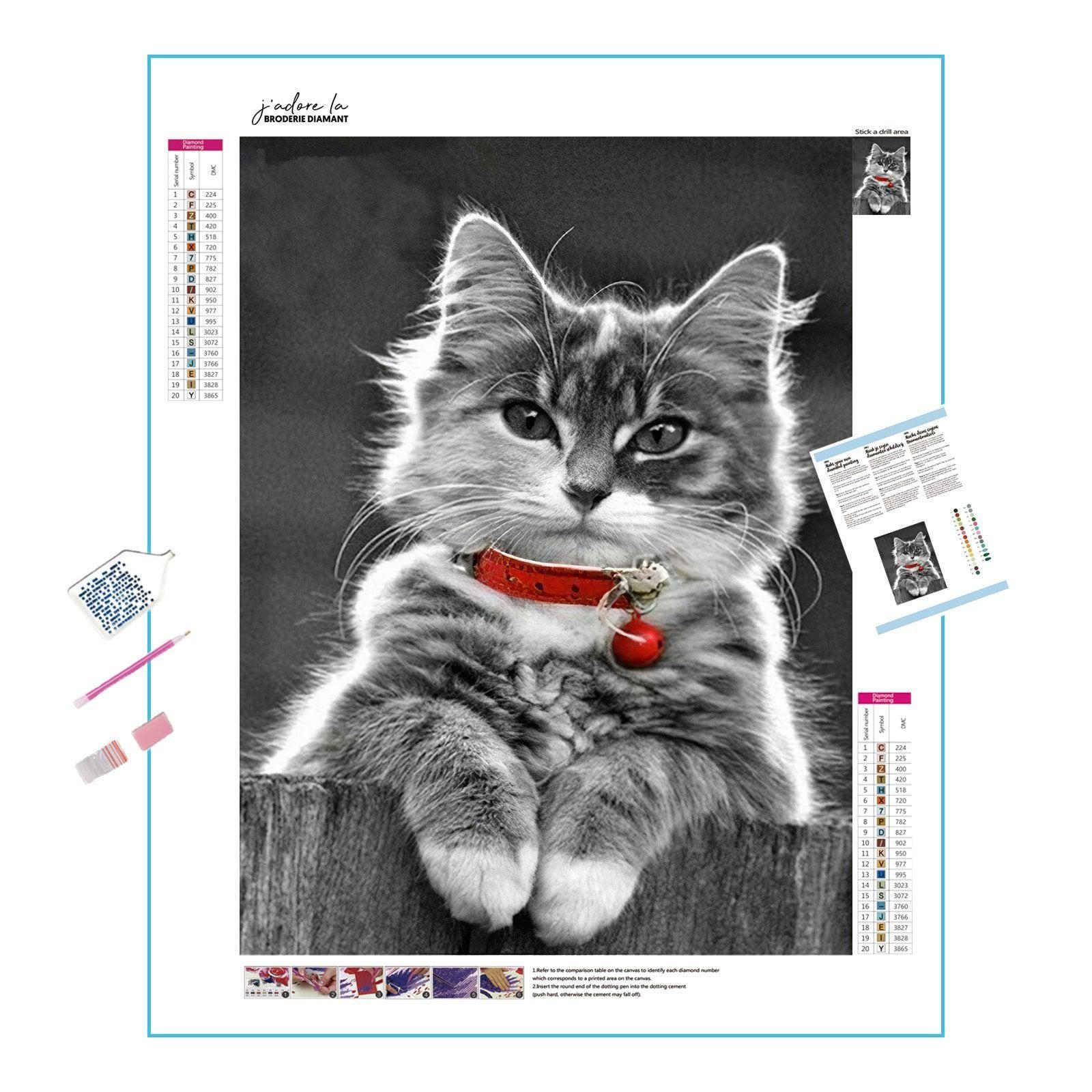 Diamond Painting - Katze mit roter Halskette