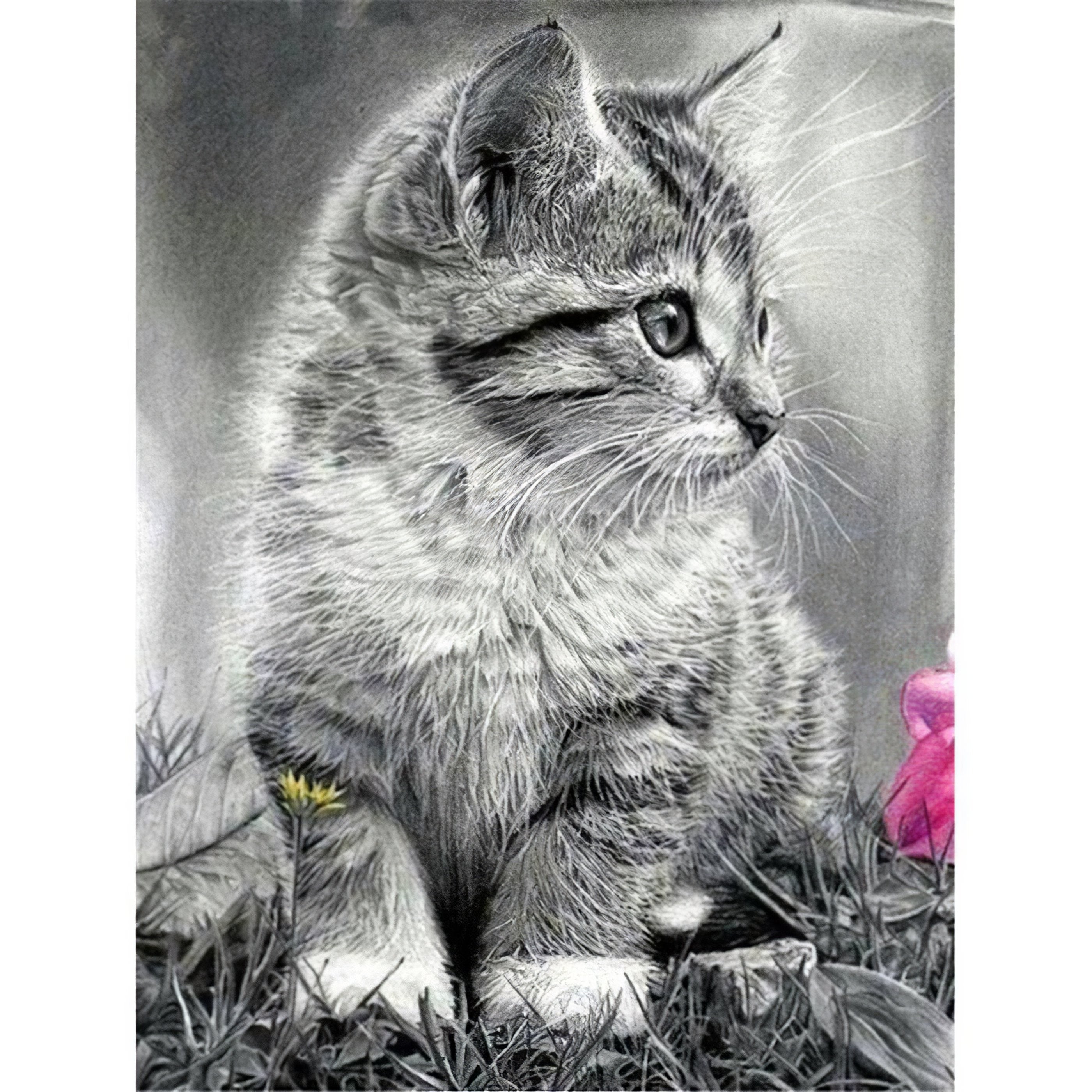 Diamond Painting - Blinde Katze