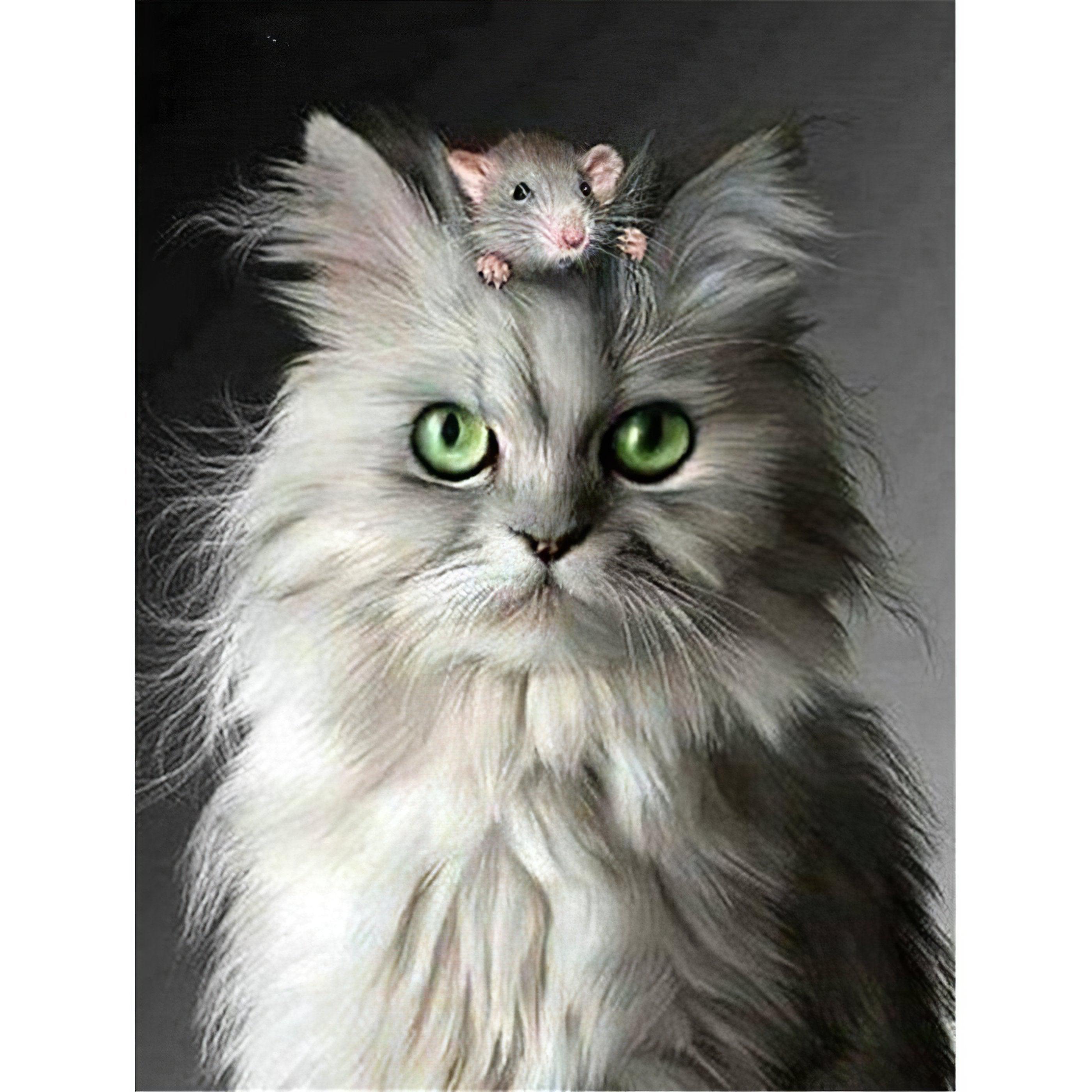 Diamond Painting - Wütende Katze mit der Ratte
