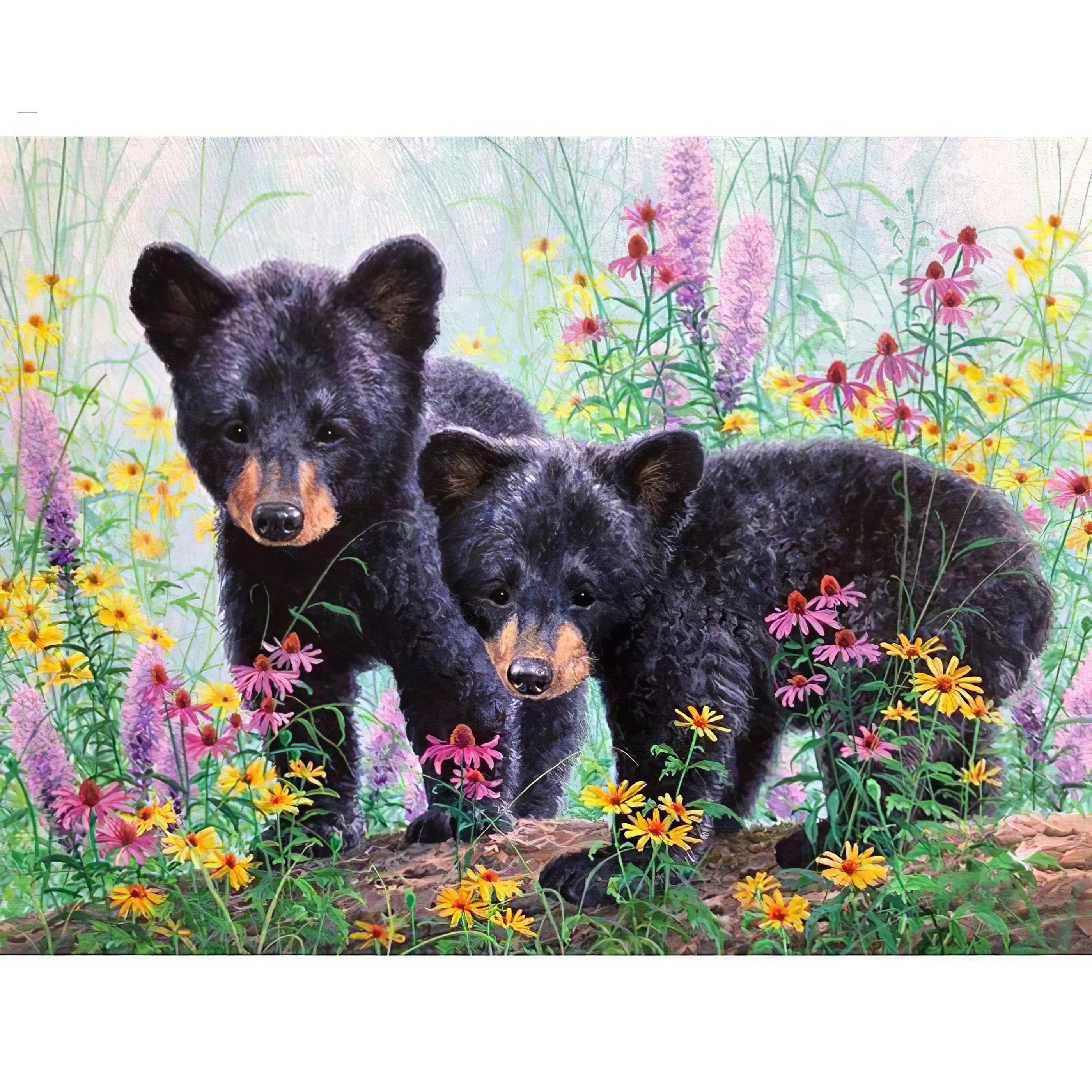 Diamond Painting - Zwei Schwarzbären
