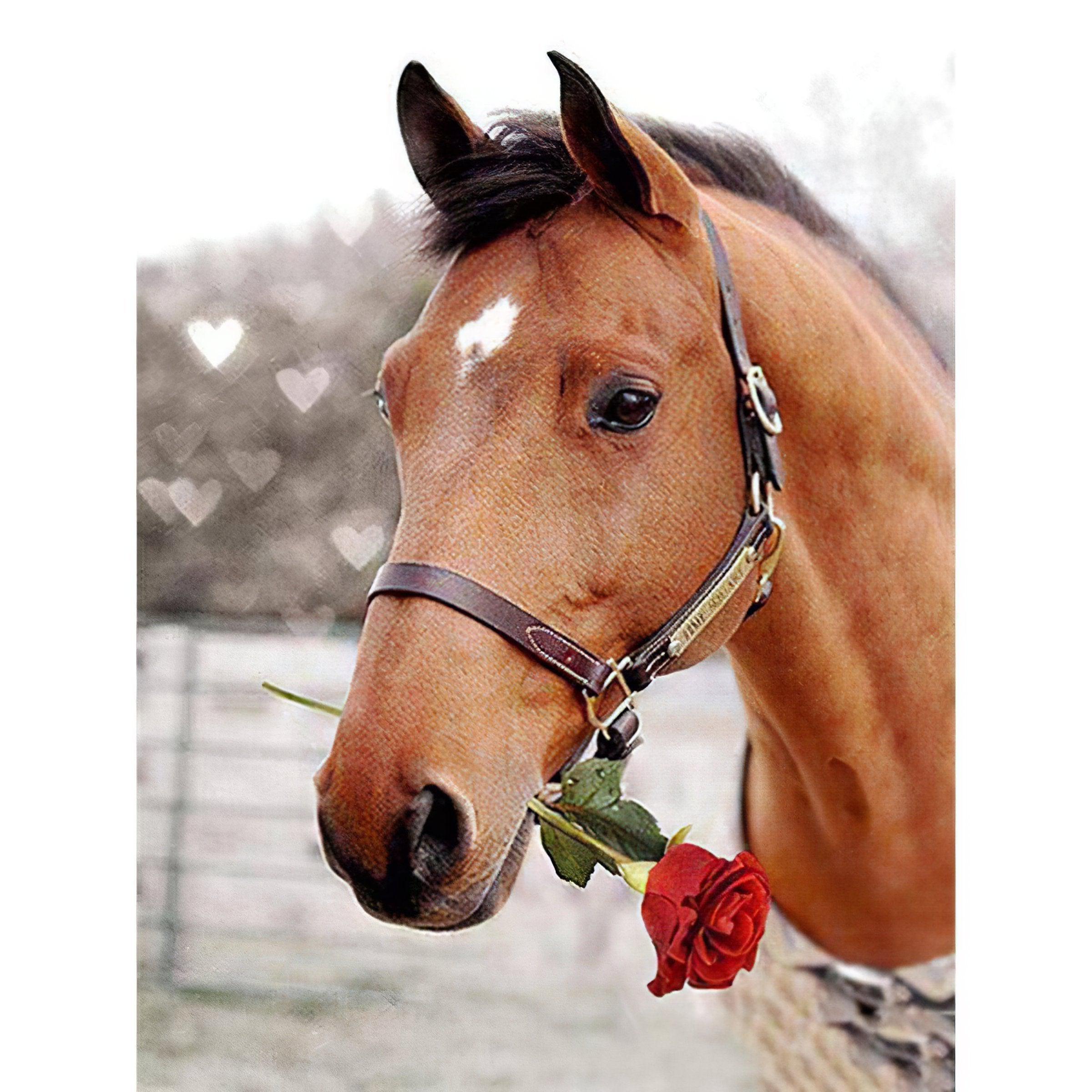 Diamond Painting - Pferd mit Rose im Mund