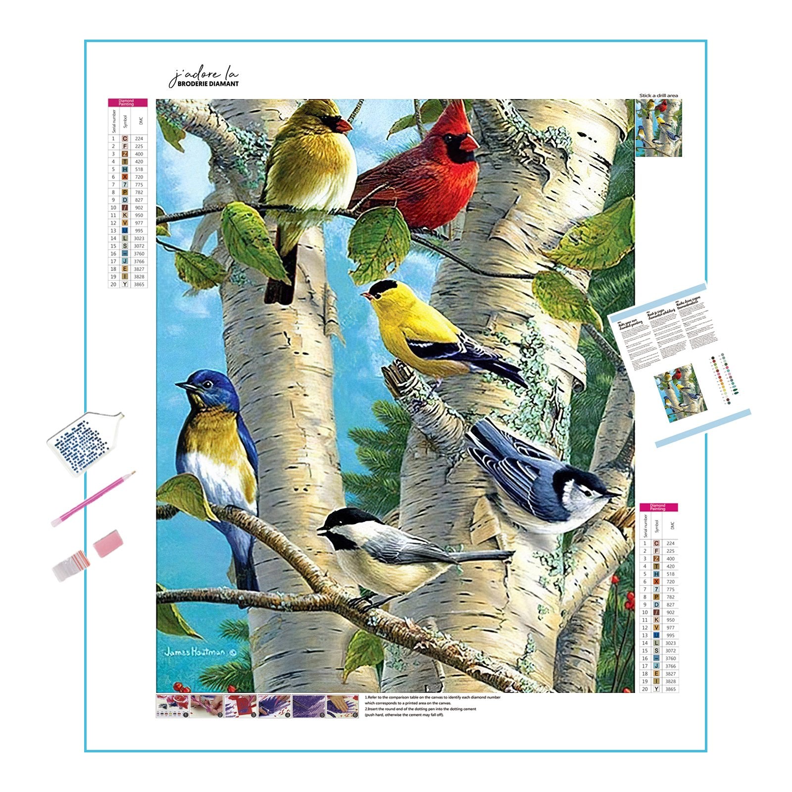 Diamond Painting - Vögel auf dem Baum