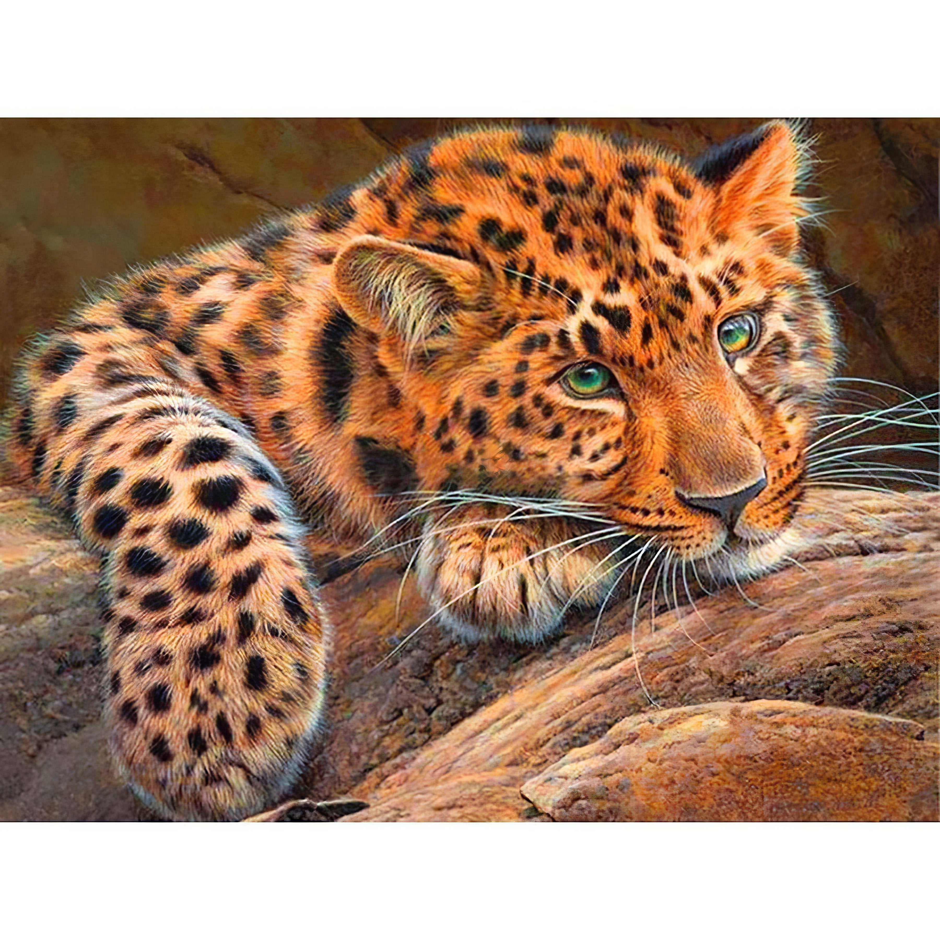 Diamond Painting - Leopard