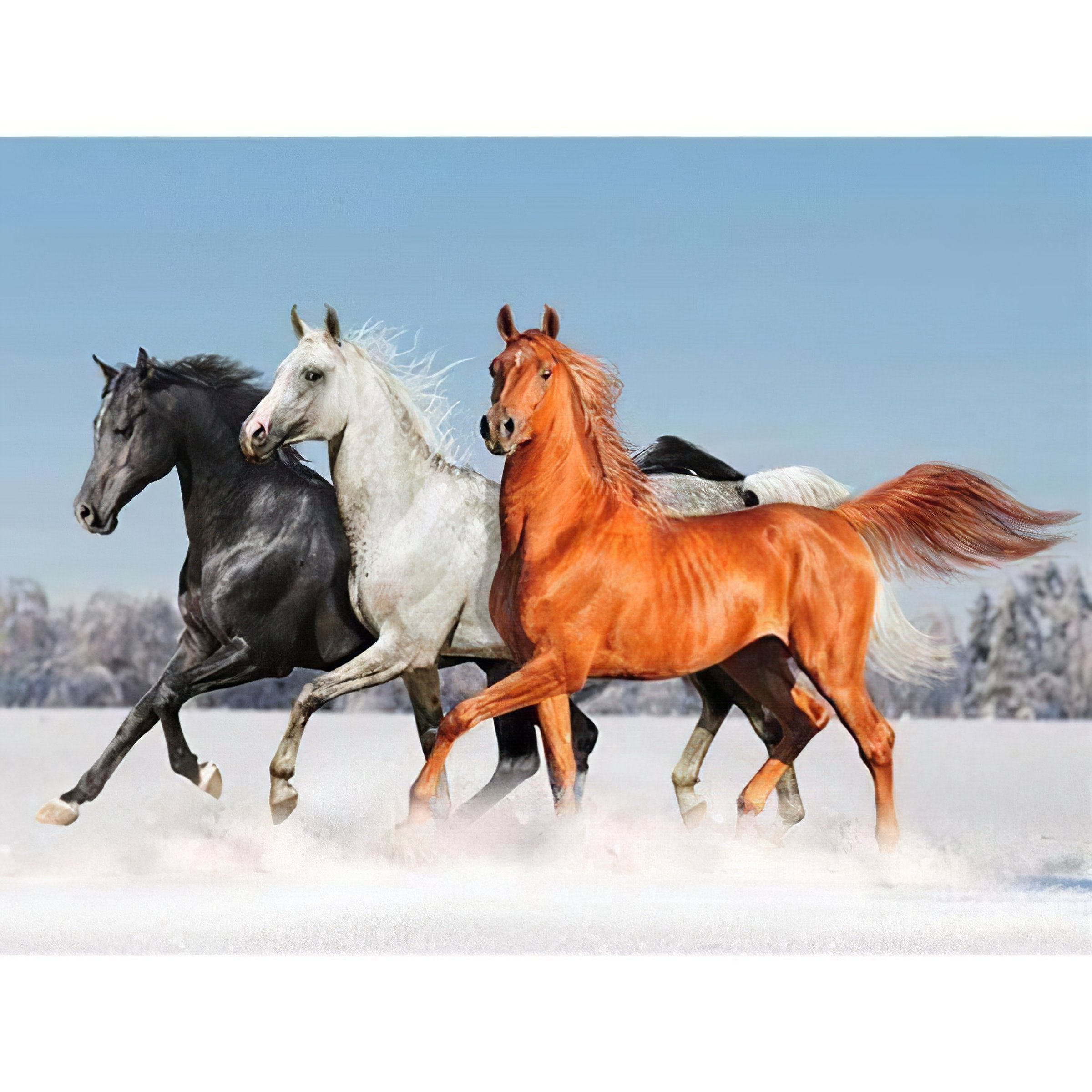 Diamond Painting - Drei Pferd im Winter