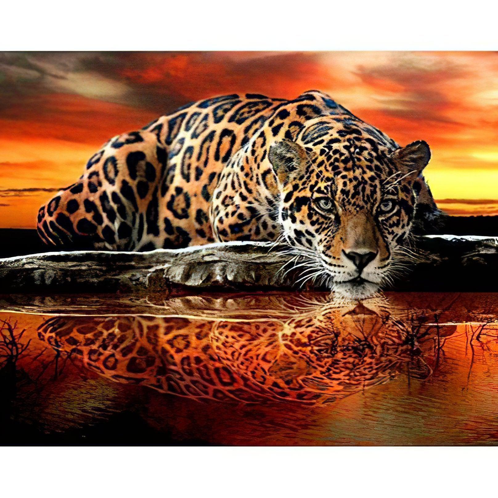 Diamond Painting - Tiger und Reflexion